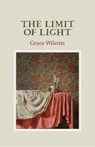 The Limit Of Light Book Cover