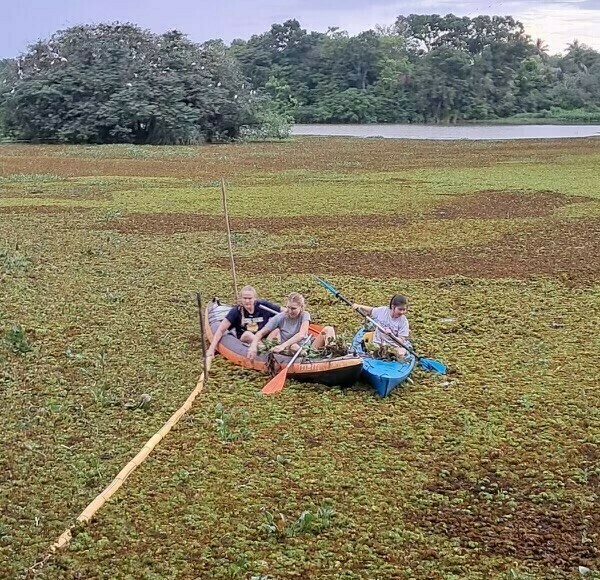 Lizzie Stifel and two other Princeton in Asia fellows cleaning a wetland in Sri Lanka.