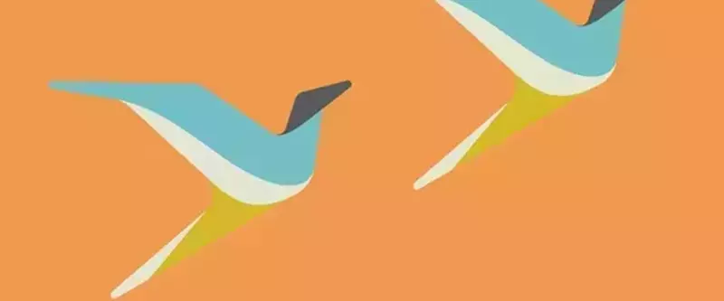 A basic drawing of two birds flying up to the right. The background is orange, and the birds are blue, white, and yellow with grey heads.