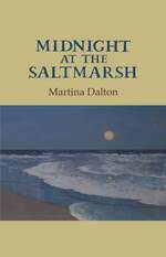 Book cover: Midnight at the Saltmarsh by Martina Dalton. Moonlit painting of waves on a dark sandy beach. Cover: ‘Incoming Tide, Achill’ by Paul Henry, © Sotheby’s. All rights reserved.